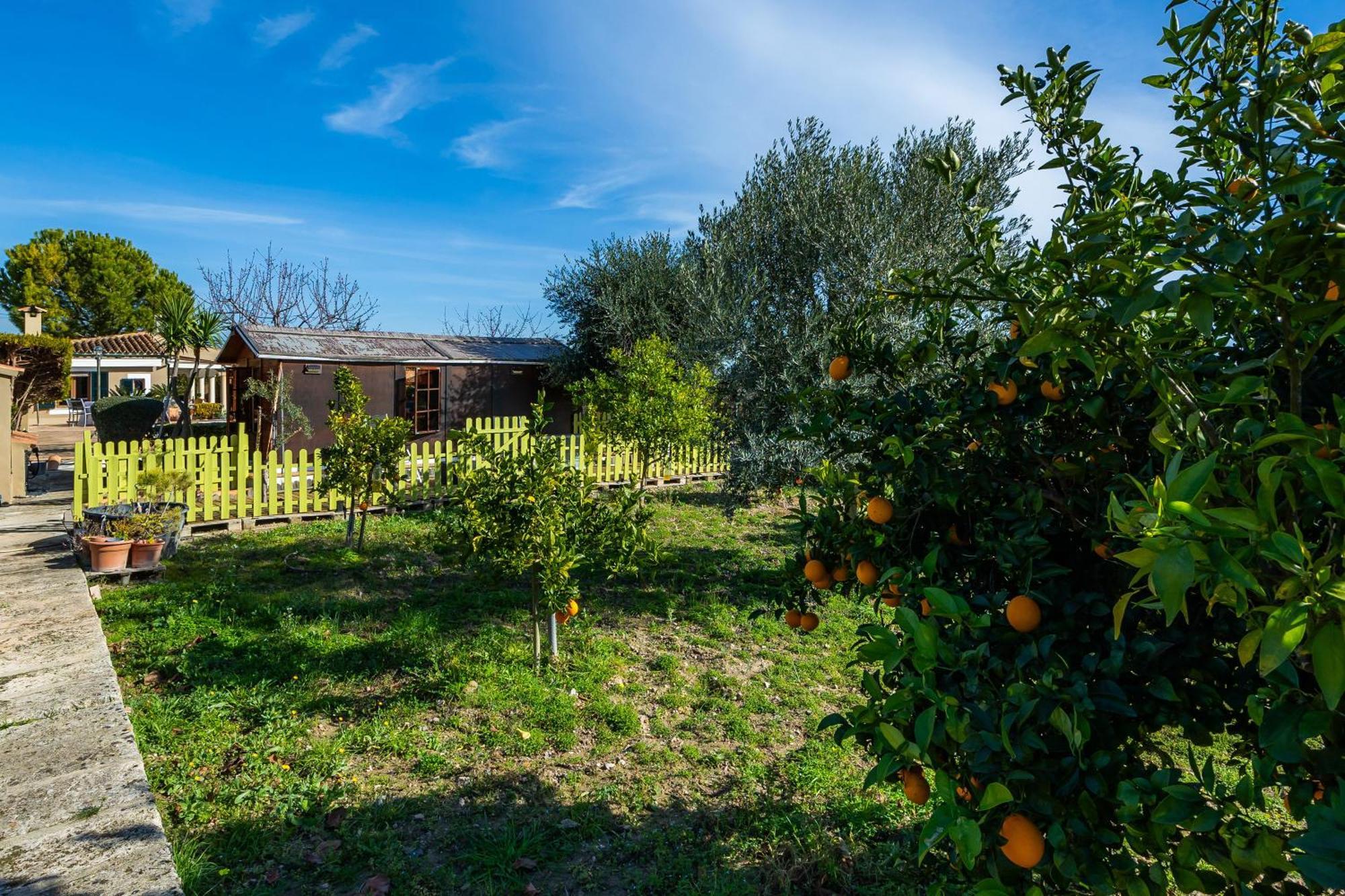Finca Son Macia El Port de la Selva Exterior photo